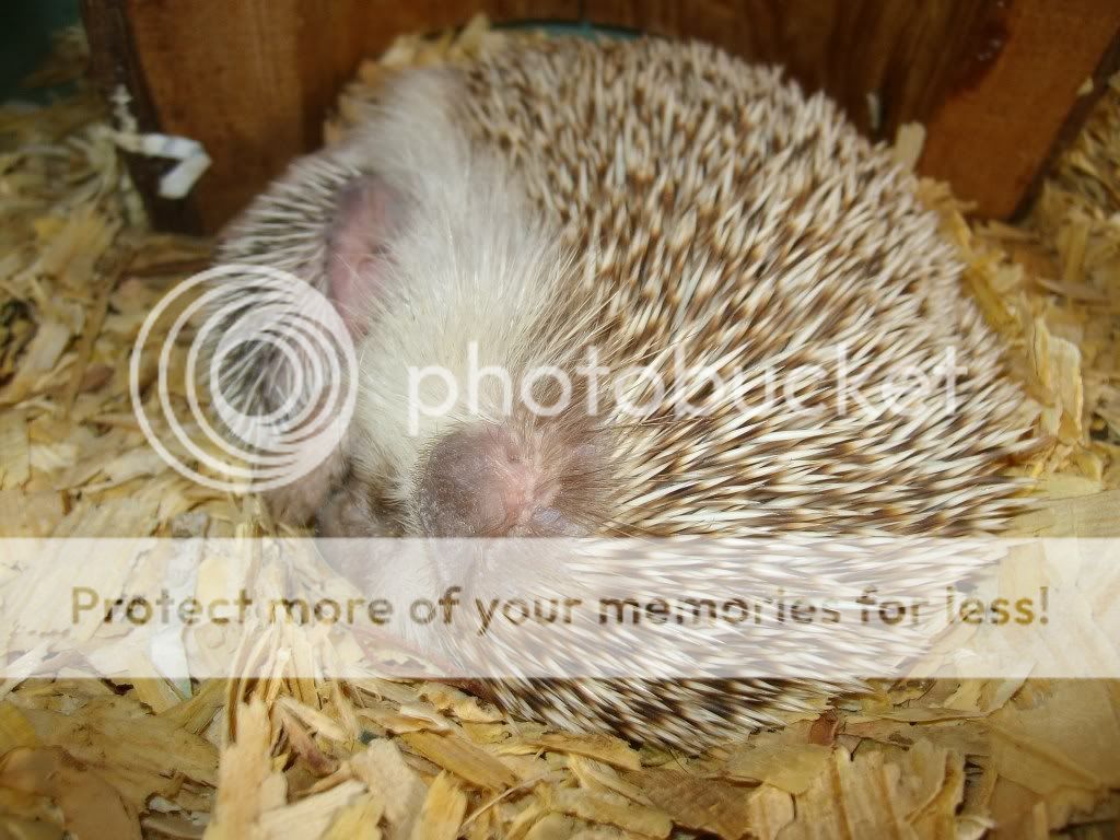 Picture432.jpg