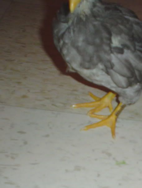 DSC07601.jpg
