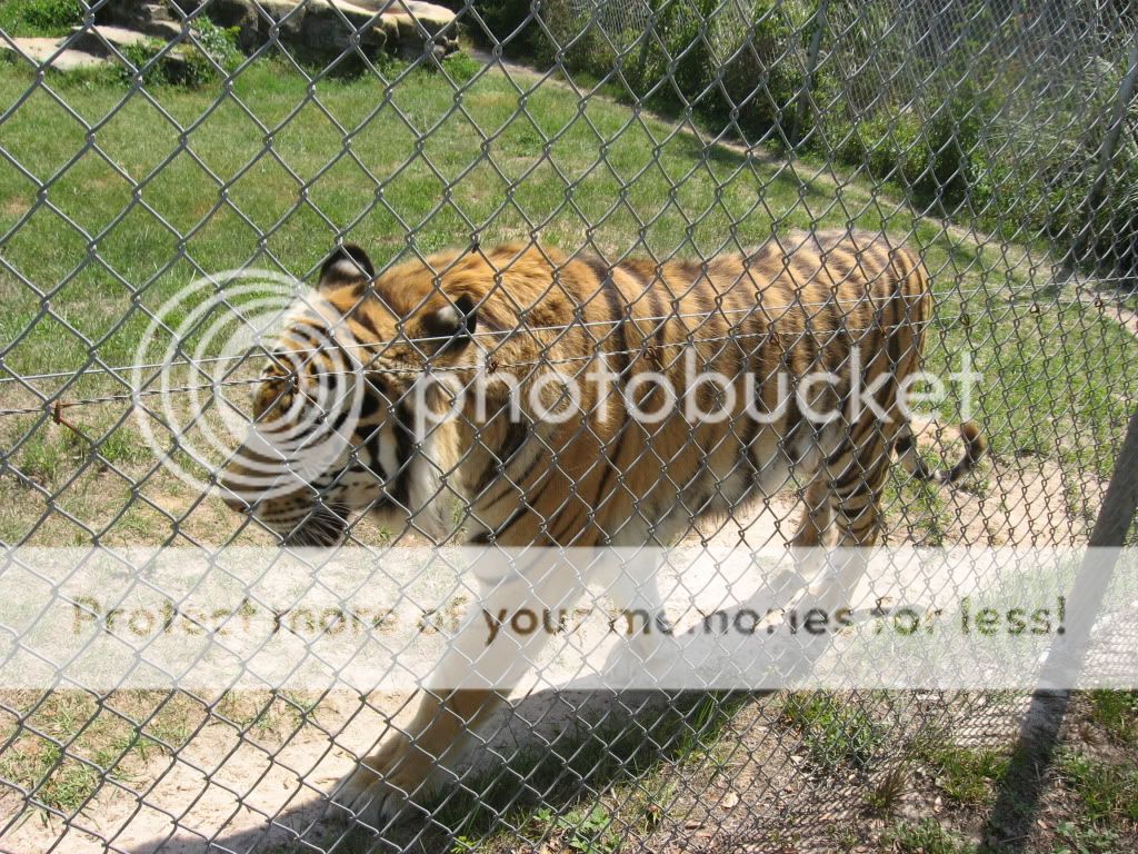IMG_5432.jpg