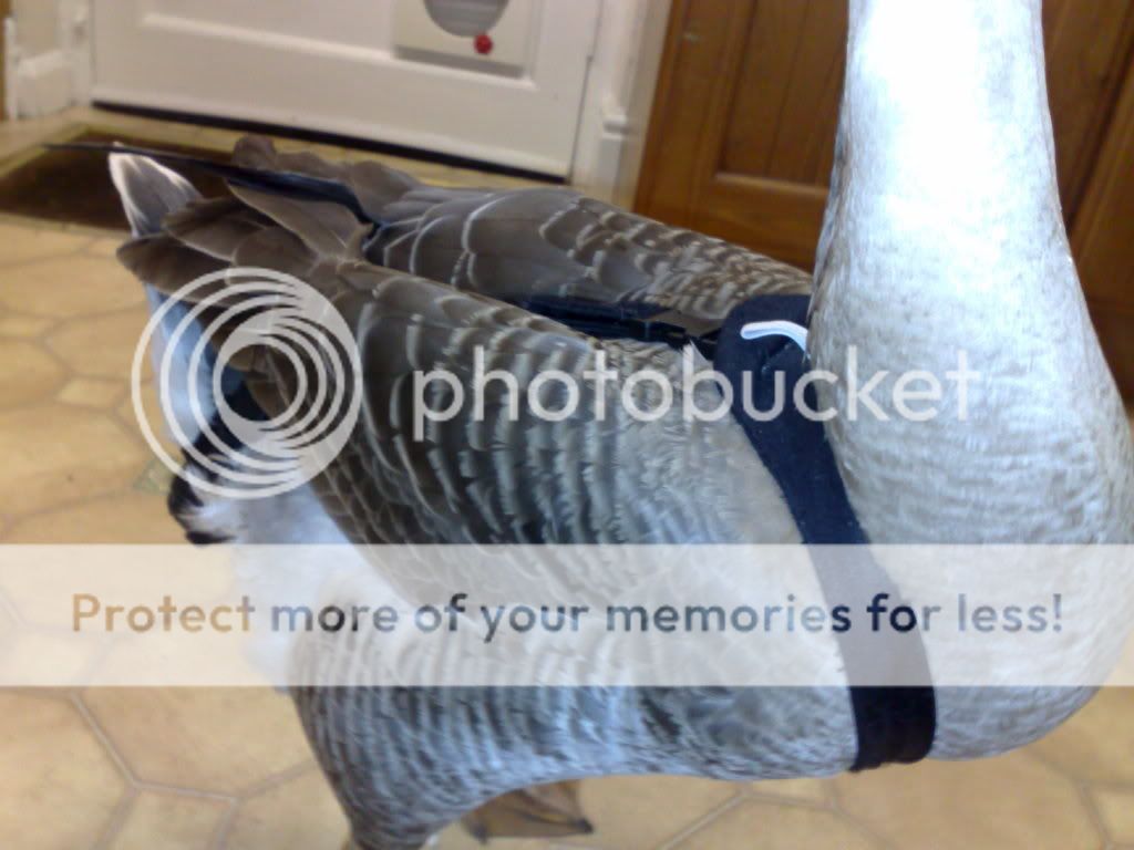 SalsPics29122009006.jpg