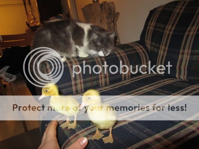 IMG_0489.jpg