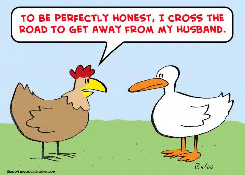 chicken_cross_road_husband_505755.jpg