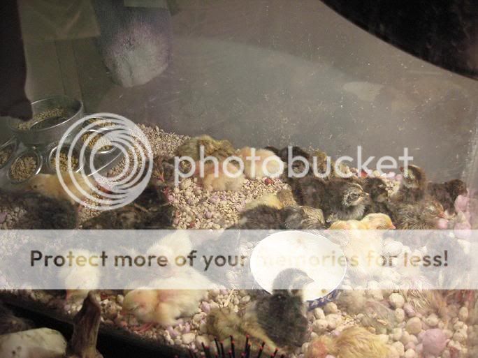outsidetank.jpg
