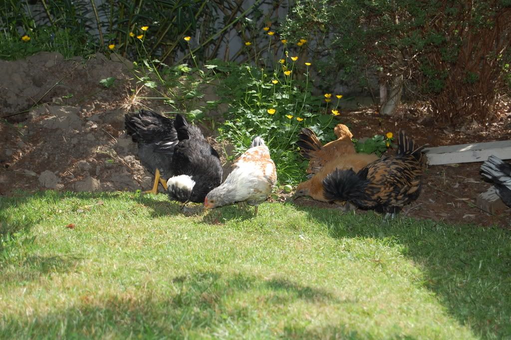 DSC_0014.jpg