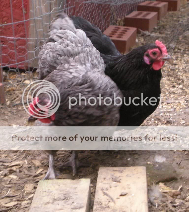 DSCN5559.jpg
