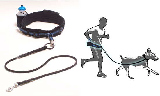 cardio-canine.jpg