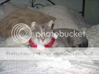 IMG_0905.jpg