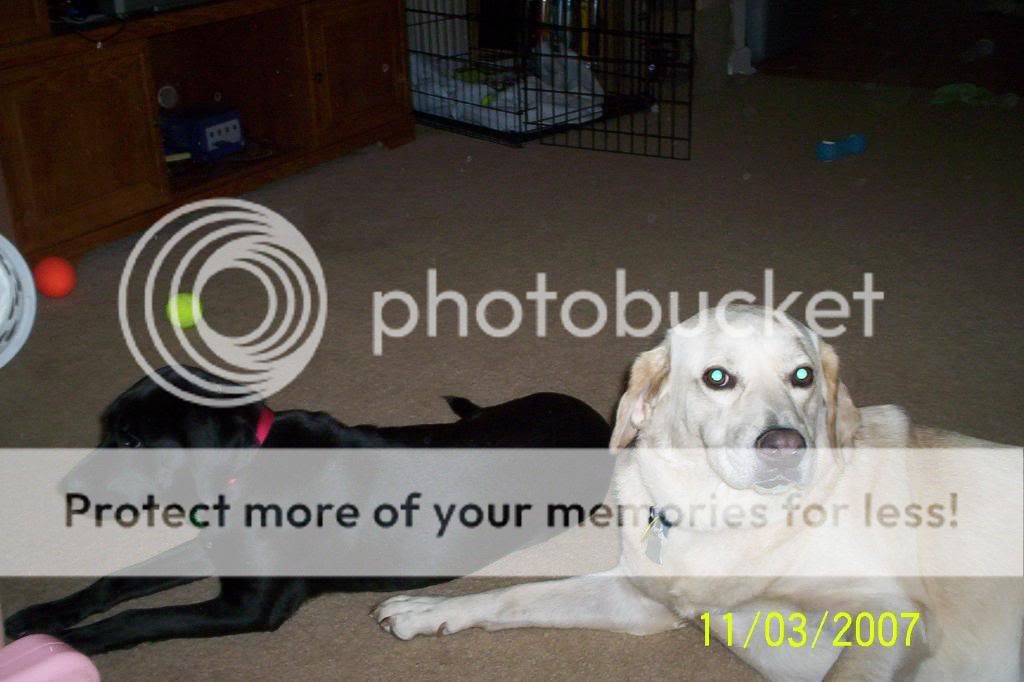 100_8107.jpg