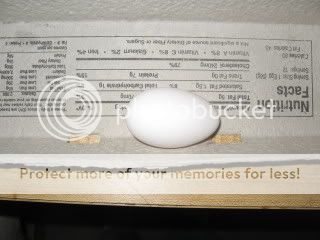 100_1259-1.jpg