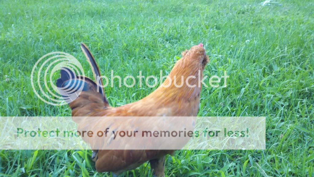 2011-08-13_19-26-07_500.jpg