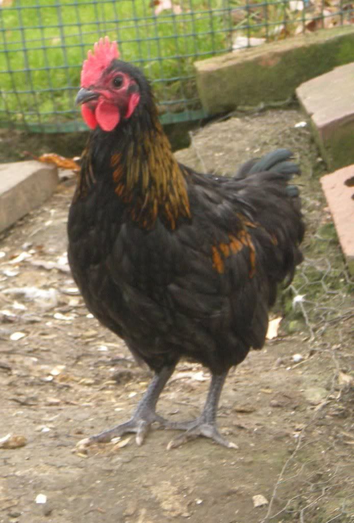 DSCN5815.jpg