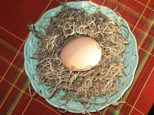 firstegg002.jpg