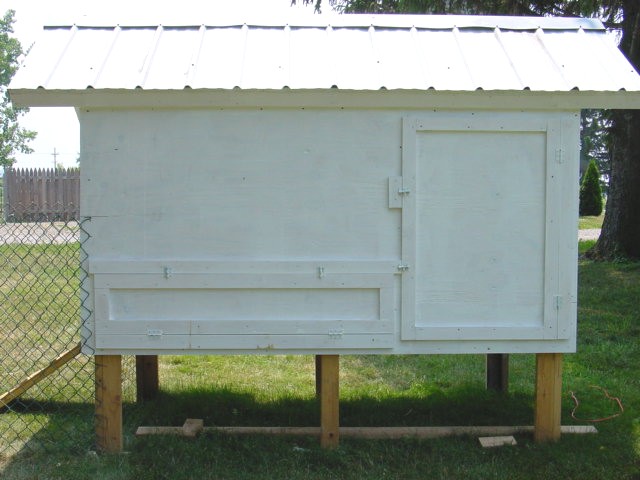 coop8.jpg