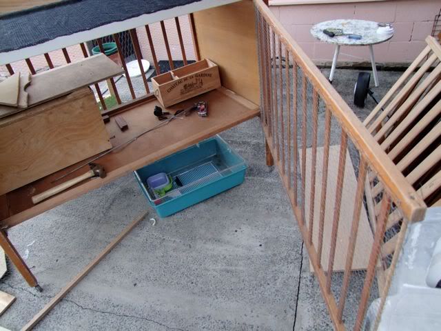 DSCF0137.jpg