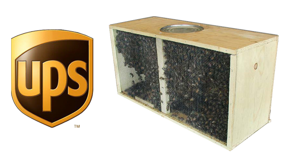 ProductImage_Large_3lb_package_Bees_UPS.png
