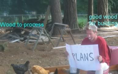 wood.jpg