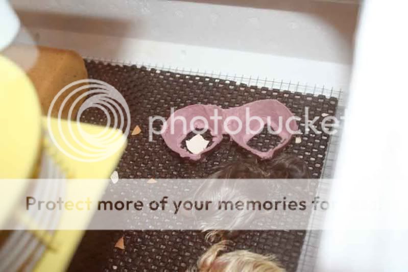 May5hatch.jpg
