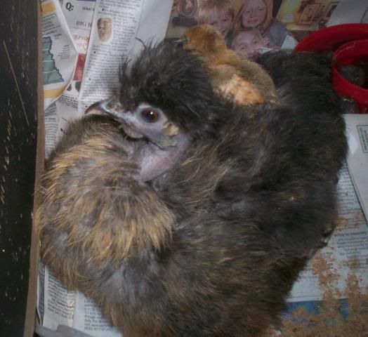 100_0931_edited.jpg