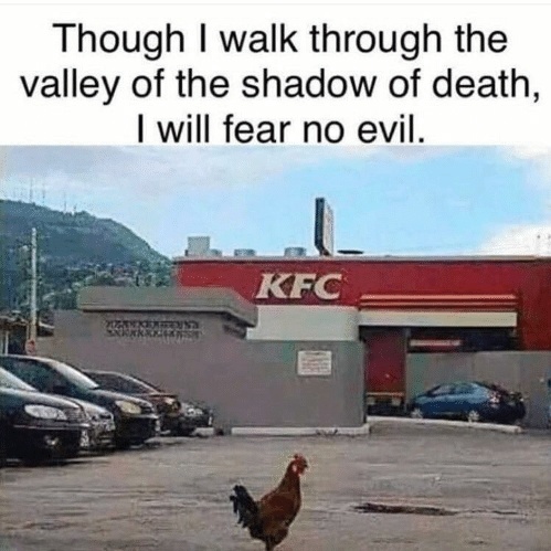 8XQ2FjR.jpg