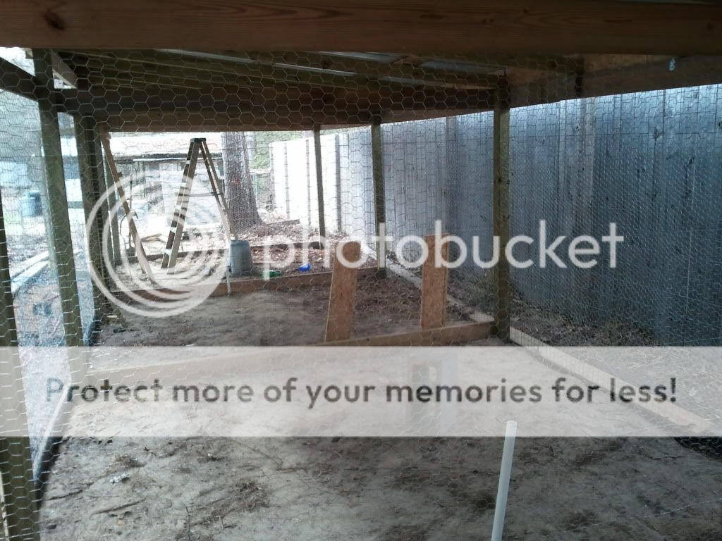 2011-03-05140144.jpg