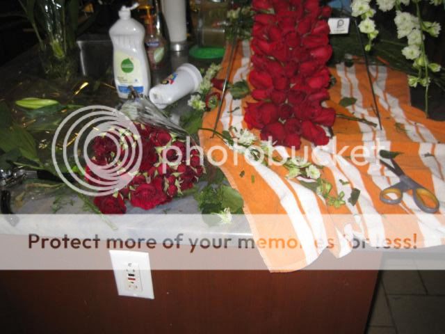 IMG_1344-1.jpg