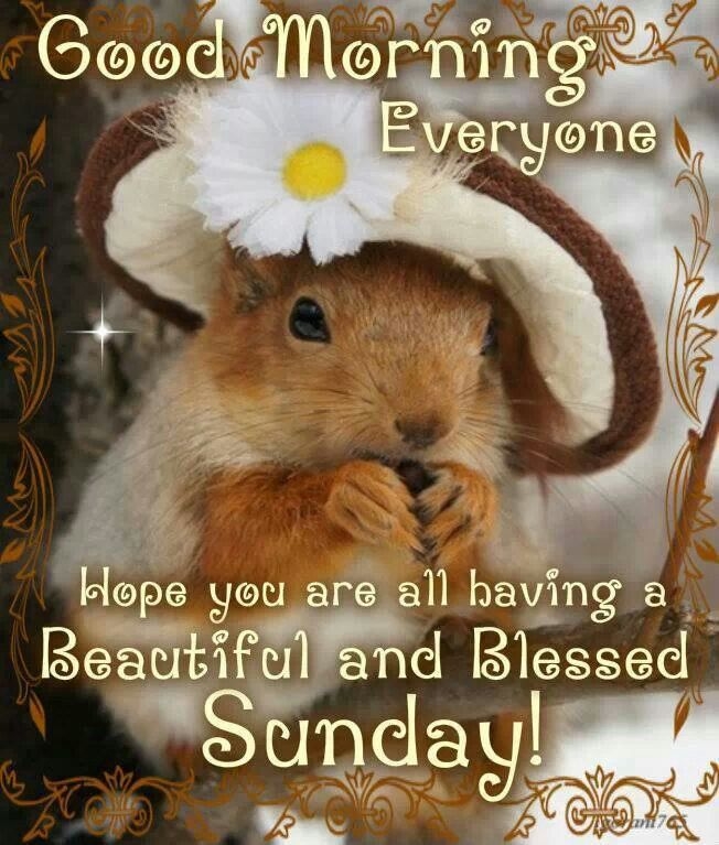 98222-Beautiful-Sunday.jpg