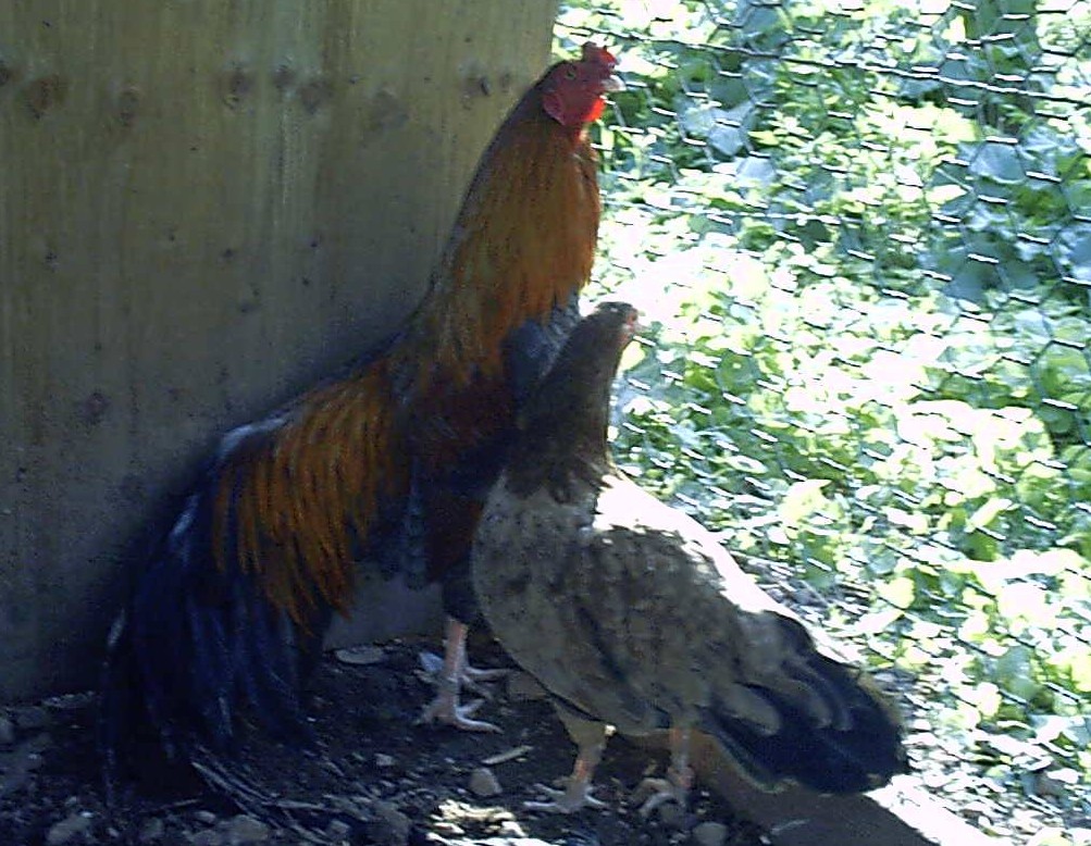 IMAG0022.JPG