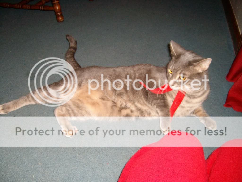 NancysPictures027.jpg