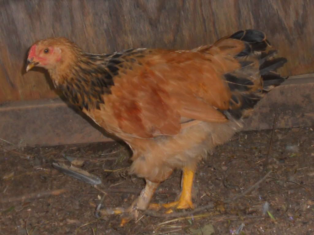 RSCN0252.jpg