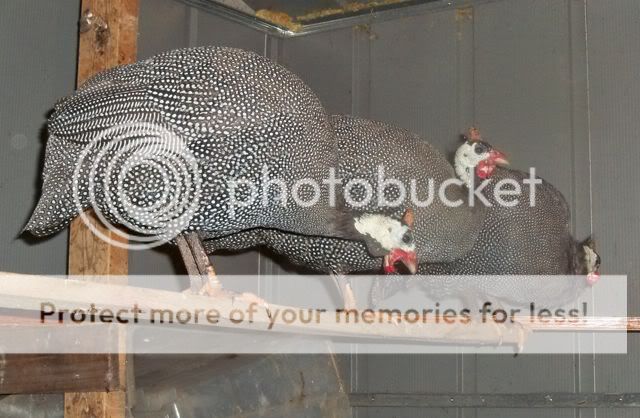 100_8094.jpg