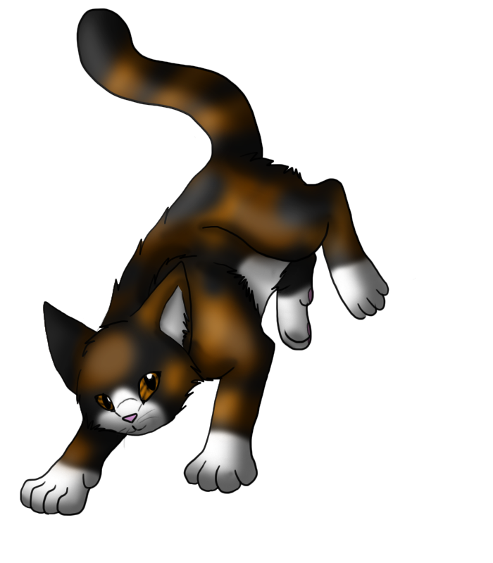 spottedleaf_by_arcticblood-d31epld.png