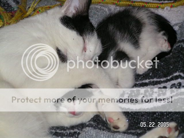PICT0437.jpg