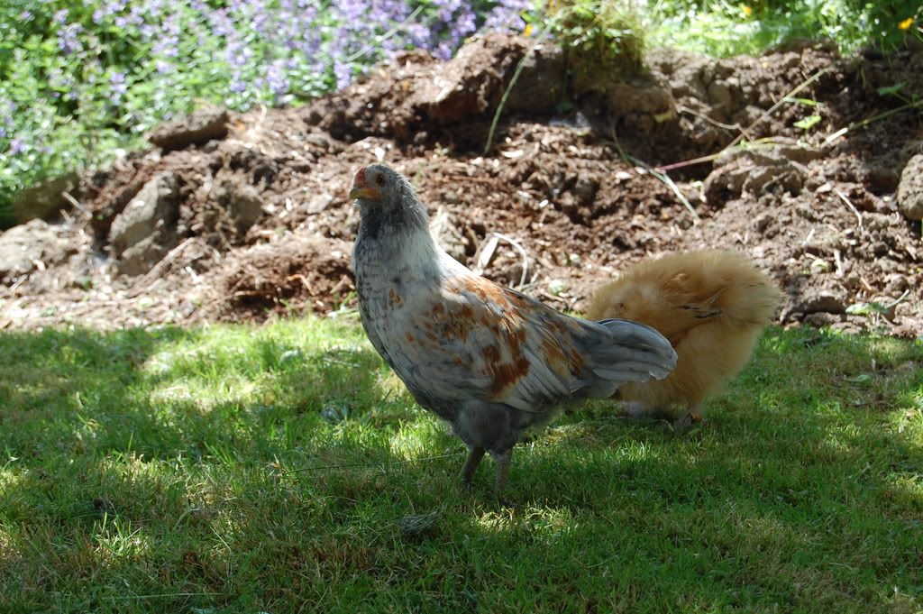 DSC_0027.jpg