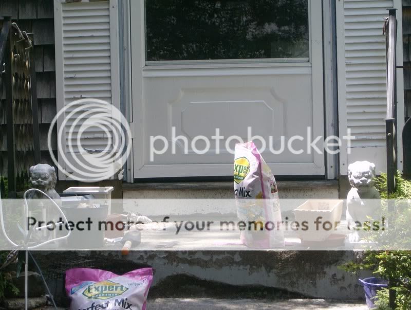 HPIM0329.jpg