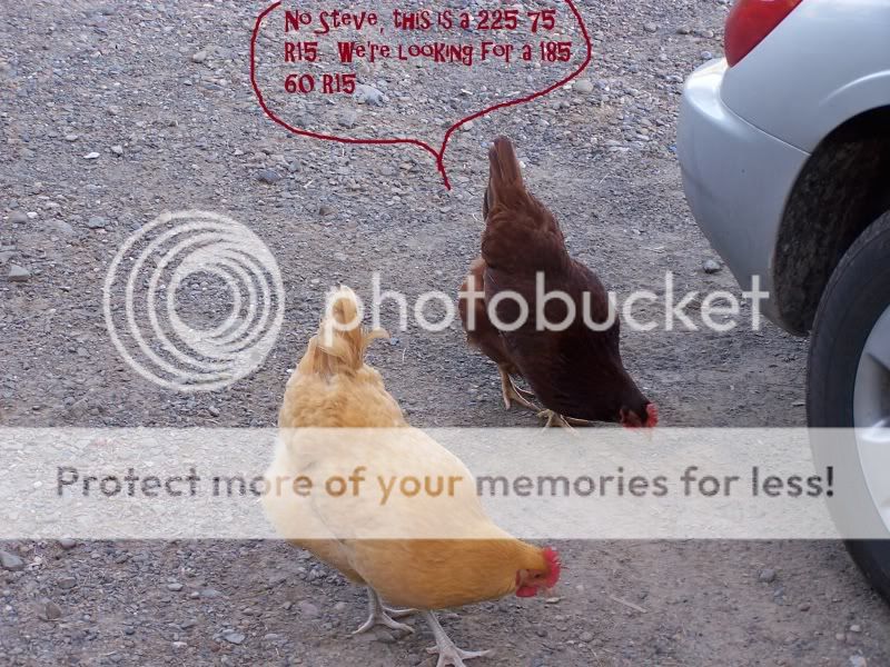 100_6733.jpg