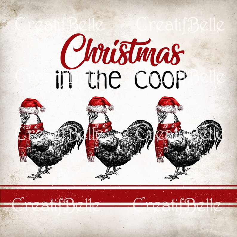 Vintage Christmas Dressed Chickens with Hat and Scarf image 1