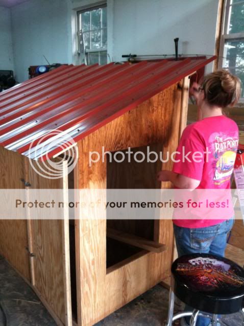 ChickenCoop2011026.jpg