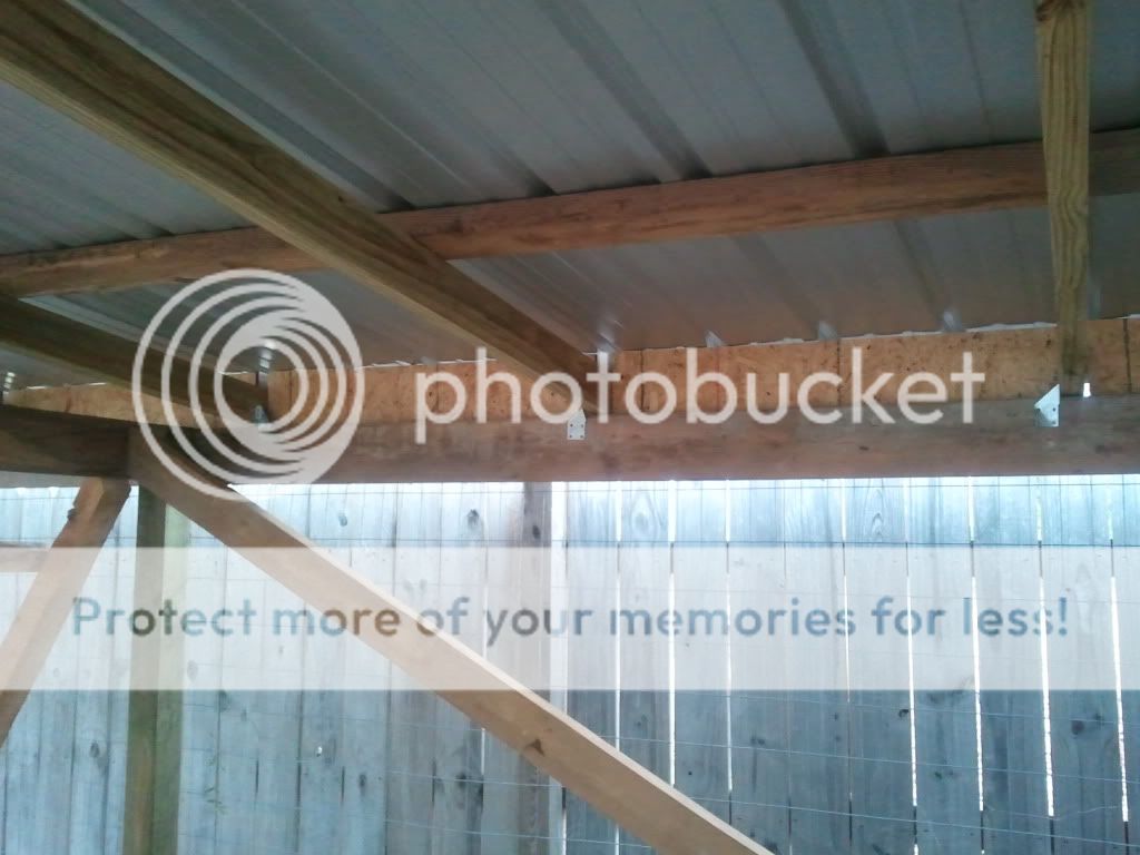 2011-03-04091248.jpg