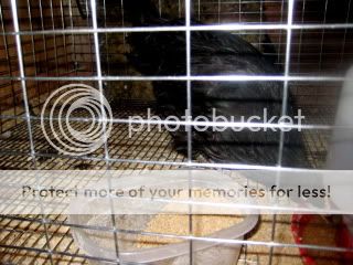 IMG_4539.jpg