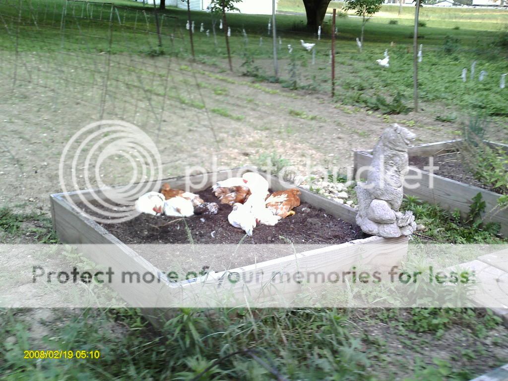 NewPhotos069.jpg