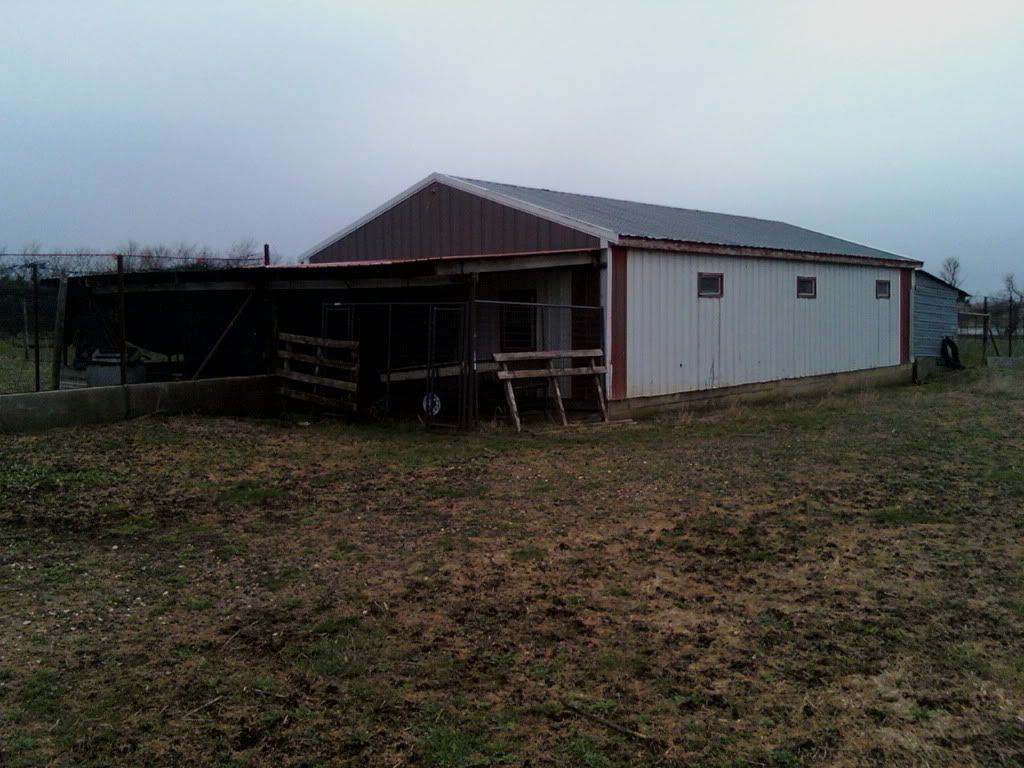 broodinghouse1.jpg