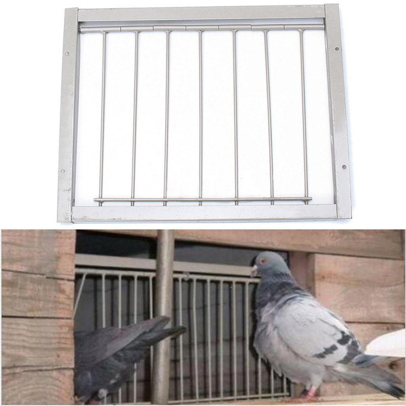 One Way Door For A Pigeon Coop Page 2 Backyard Chickens