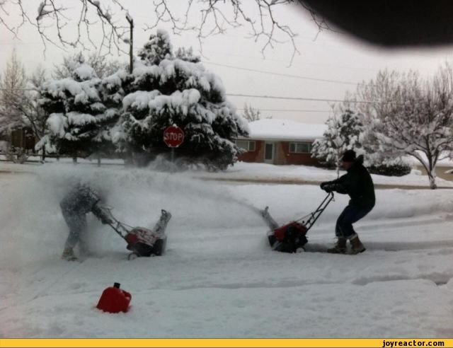 canada-snow-fight-538514.jpeg