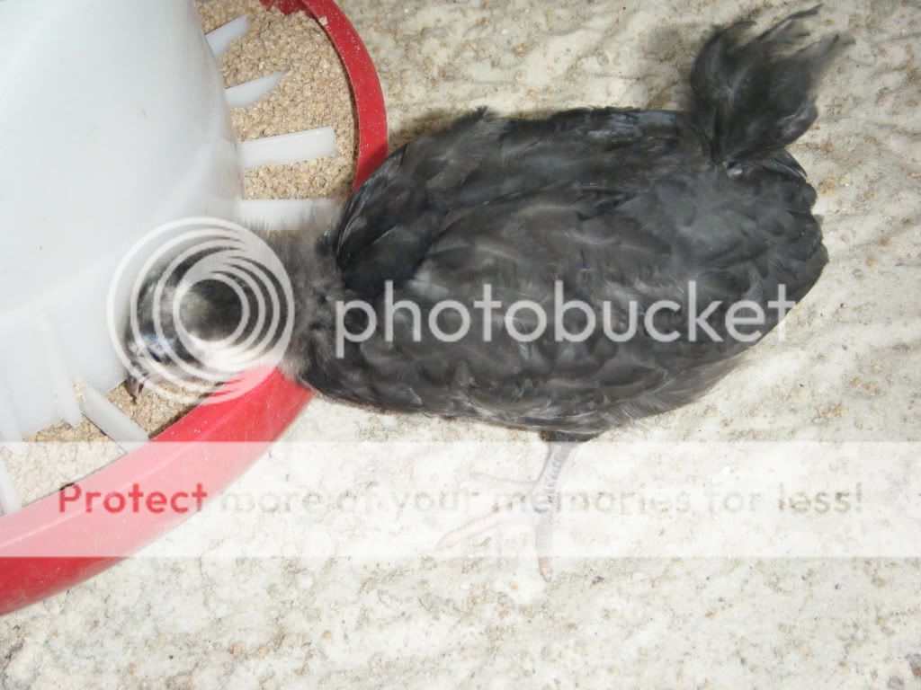 DSCF4819.jpg