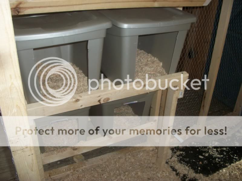chickenshouse074.jpg