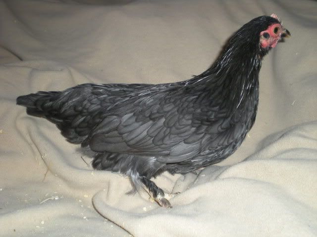DSCN0284.jpg