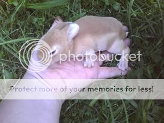 06251018342.jpg
