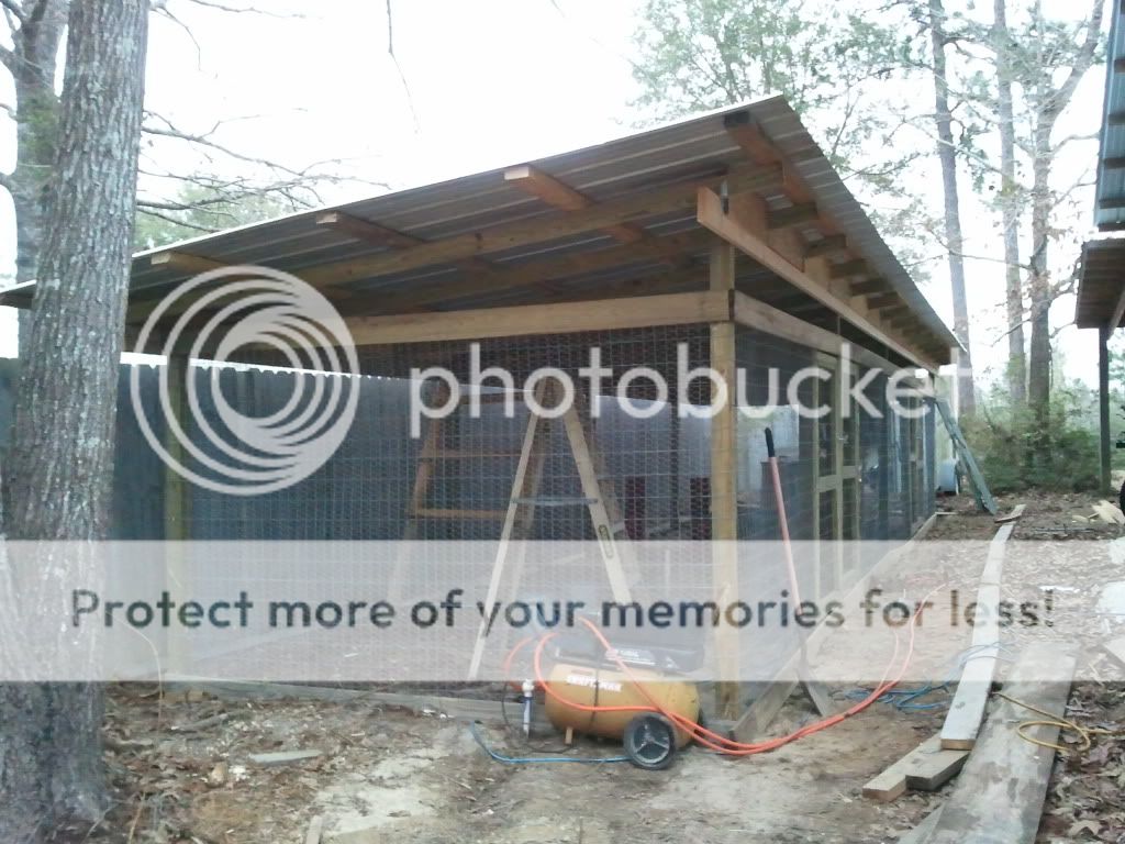 2011-03-05152603.jpg