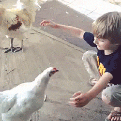 17a0c34b9c68aff2389c93178486b902.gif