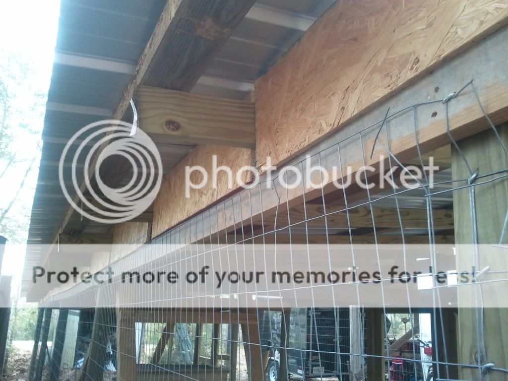 2011-03-04091335.jpg